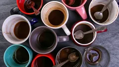 元の状態に戻す：カップや魔法瓶から茶渋を簡単に落とす方法