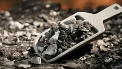 植物に施肥するのに最適な灰の種類：経験豊富な園芸家のライフハックを覚えておきましょう