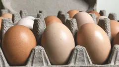 卵を数週間新鮮に保つ保存方法：シェフ直伝のコツ