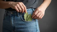 なぜ迷信を信じない人までポケットに月桂樹の葉を入れて持ち歩くのか?